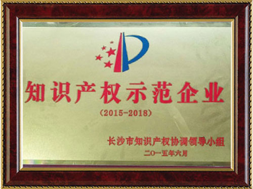 知識產(chǎn)權(quán)示范企業(yè)
